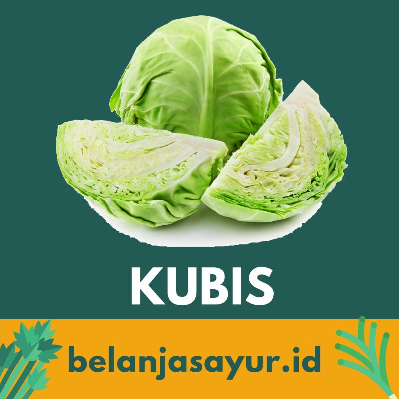 

KUBIS / KOL SAYUR SEGAR