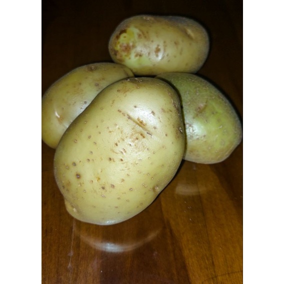 

Kentang 1000g