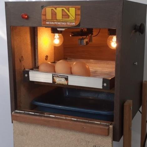 "Alat Penetas Telur Ayam"