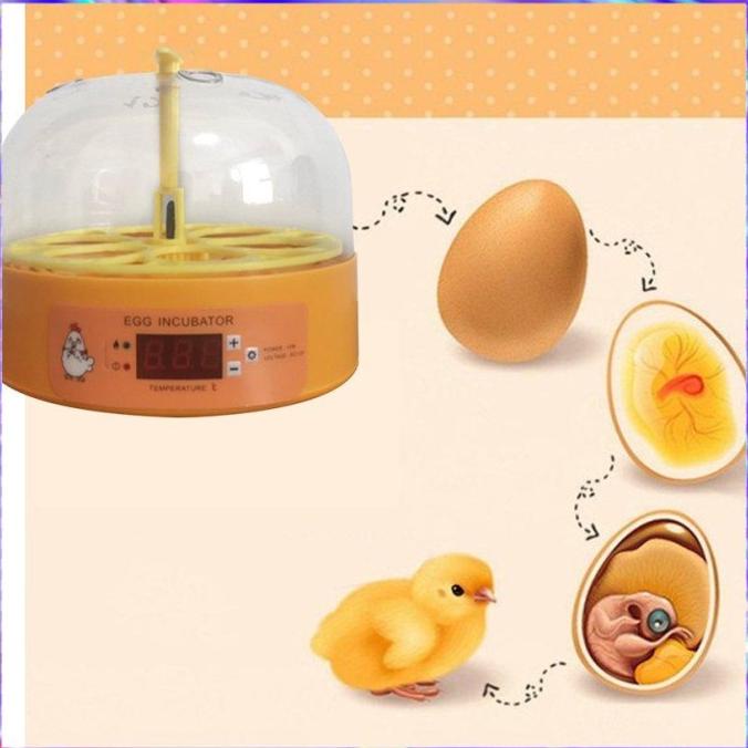 (Eh) Inkubator Penetas Telur Digital Mini Otomatis Kapasitas 6 Slot