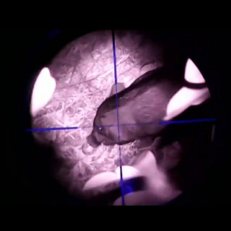 SAN791 Night vision otg/kamera infrared/kamera berburu malam ***