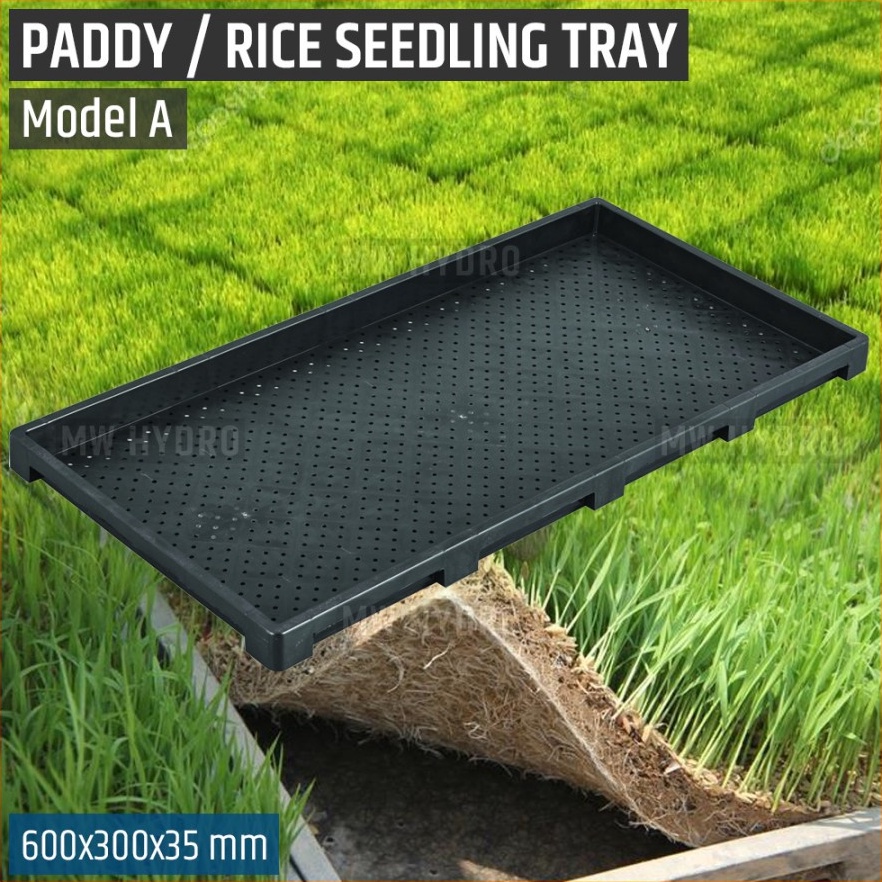 (W㊛MS-✓) Paddy / Rice Seedling Tray, Tray Semai Bibit Padi / Microgreen - A top.produuk