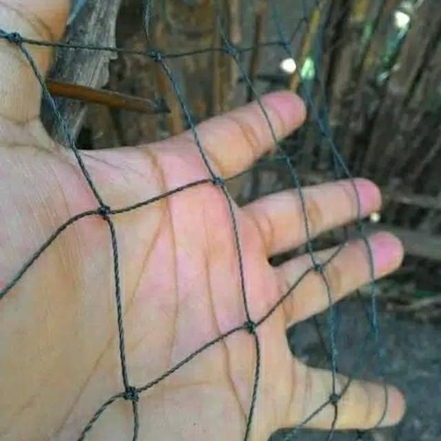 

JARING AYAM (PANJANG 20-25M X LEBAR 2.5 METER)JARING PAGAR AYAM JARING PEMBATAS NYLON