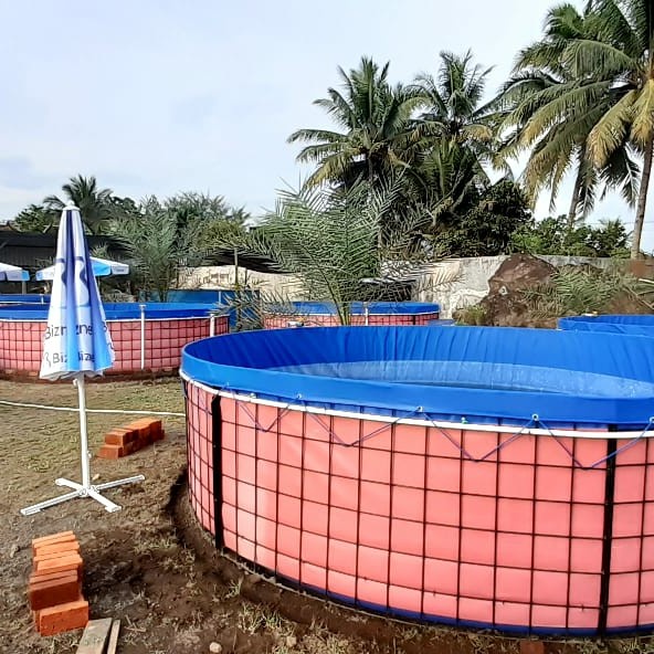 Jilid Kolam Terpal Bulat D.4 T1.2. Bahan Terpaulin Pvc Merk Orchid Semi Kare
