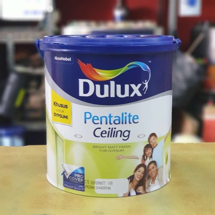 Dulux pentalite ceiling 25kg