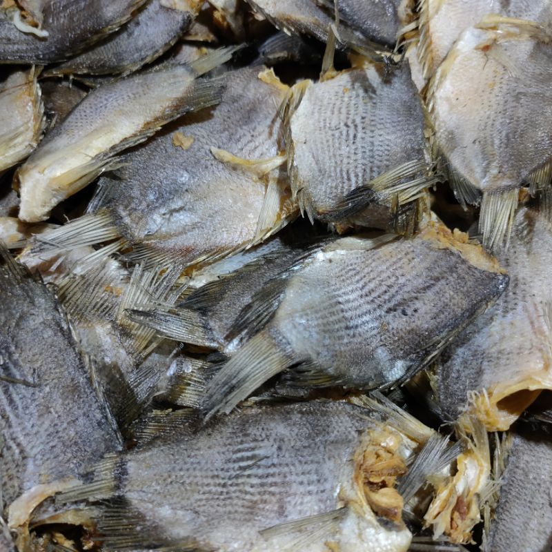 

Ikan Asin tembakang 500gram