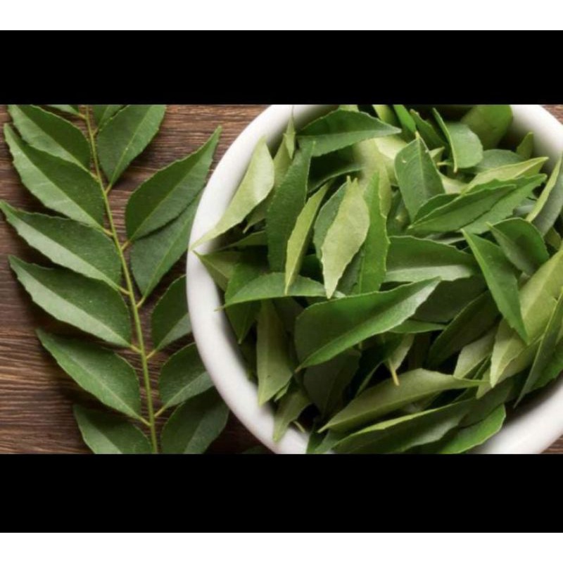 

Daun Kare/Kari/Salam Koja Organik 500gr