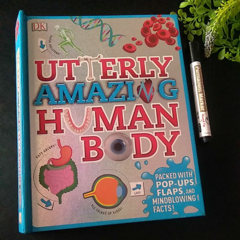 Buku DK utterly Amazing Human Body preloved