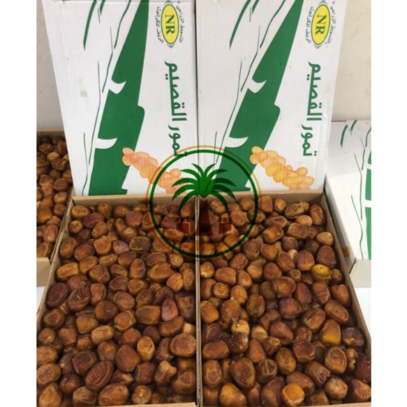 

✨Original✨ Kurma Sukari FRESH!! 3kg / Sukary AlQasim / Kurma Raja , Kurma Ruthab Rutob grosir