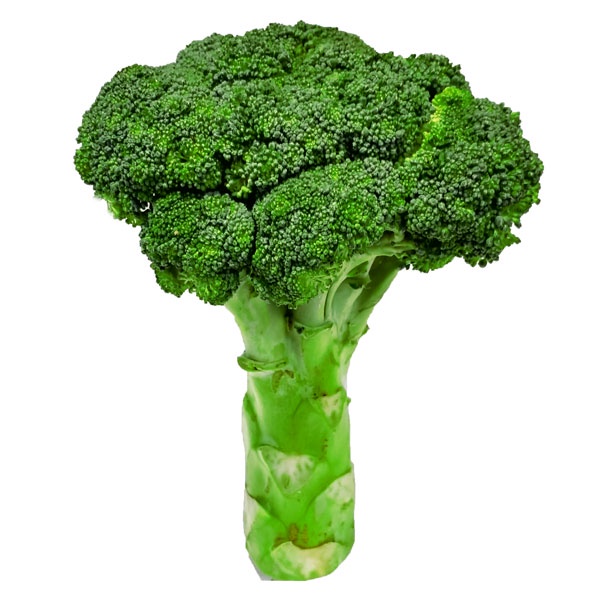 

BROCOLI 220-280 GR