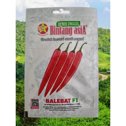 Benih Bibit Biji Cabe Cabai Besar Hibrida BALEBAT F1 Bintang Asia