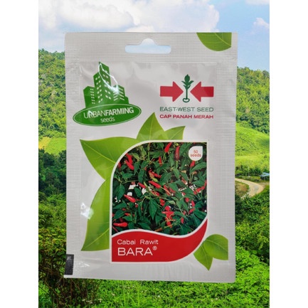 Benih Bibit Biji Cabe Cabai Rawit merah BARA Panah Merah