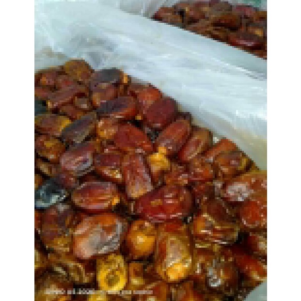 

Miliki Segera Kurma Golden Valley / Kurma Curah / Kurma Mesir ZRK