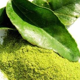 

DAUN JERUK BUBUK MURNI 500 GR - PURE KAFFIR LIME LEAVES ORIGINAL