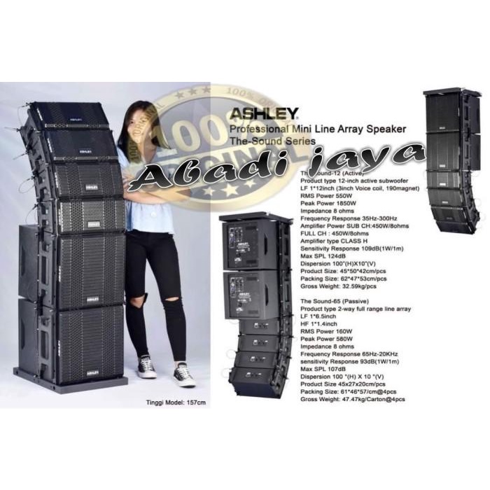 Profesional Mini Line Array Ashley Speaker The Sound Series