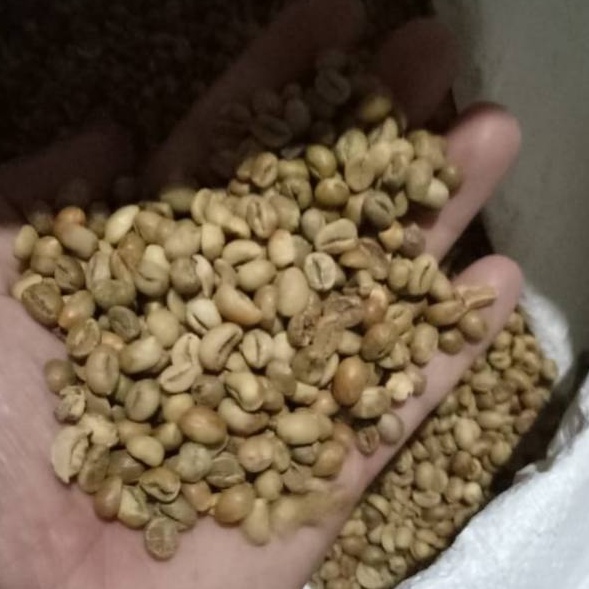12.12 BIG SALE FASION sujakopi greenbean 1kg Robusta Dampit biji kopi mentah !!