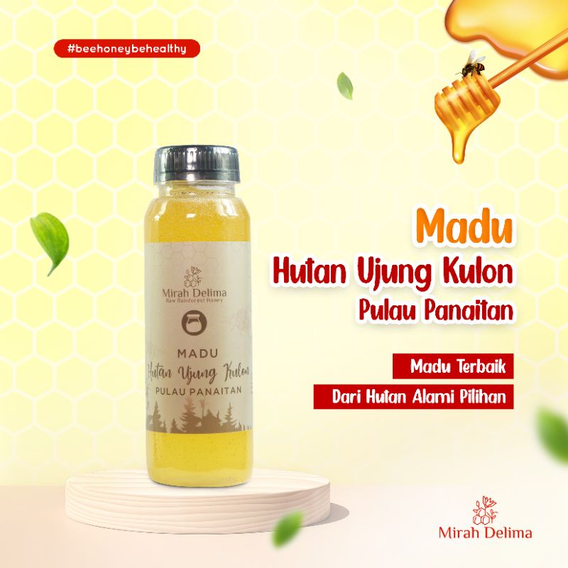 

Madu Hutan - Madu Odeng Ujung Kulon - Raw Rainforest Honey - 250 ml