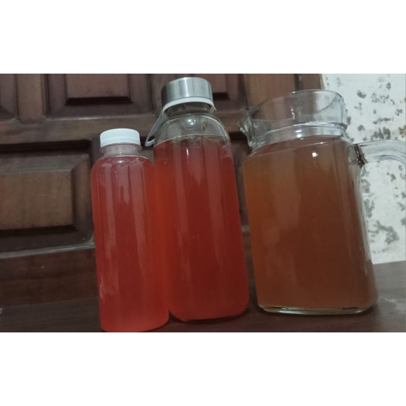 

Kombucha