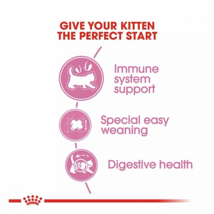 PROMO ROYAL CANIN MOTHER BABY CAT REPACK 500GR. ROYAL CANIN MOTHER AND BABY TERMURAH