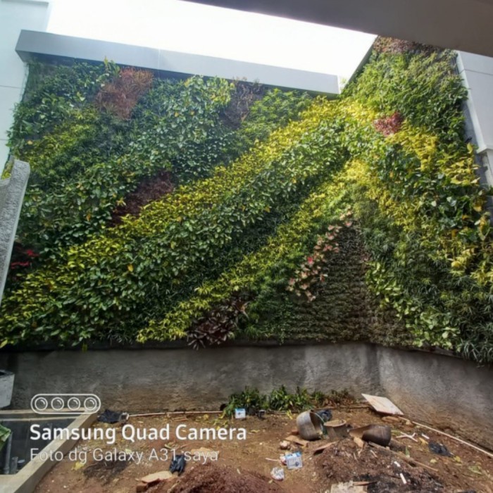 PROMO TANAMAN VERTICAL GARDEN INDOOR TERBARU