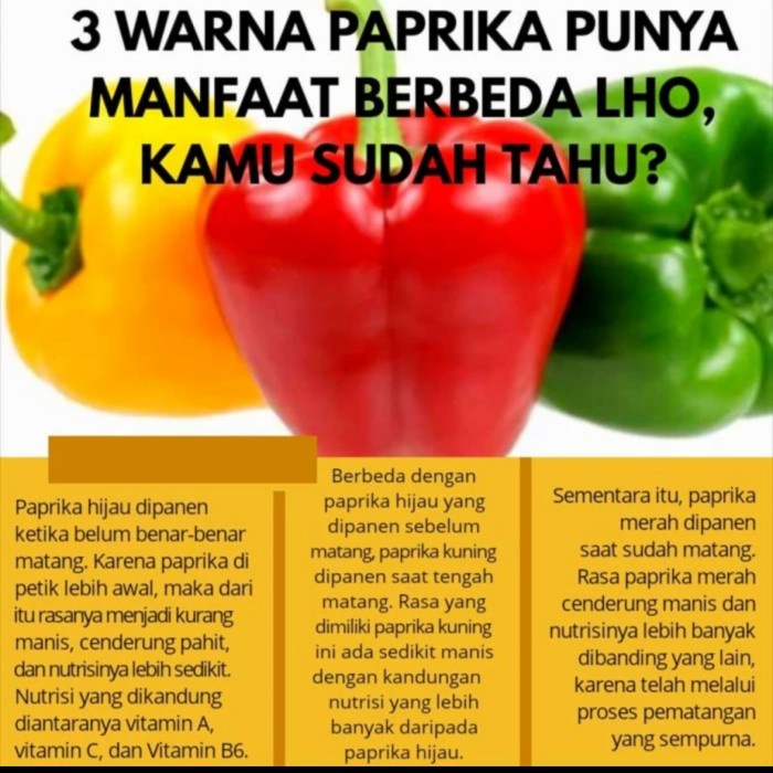 

PAPRIKA BUBUK / CAPSICUM POWDER / BELL PEPPER POWDER 1KG IMPORT HALAL wmf03