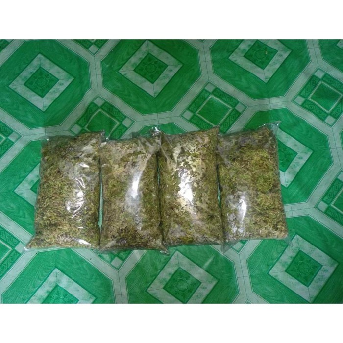 DISKON SPESIAL TERBAIK MEDIA TANAM ANGGREK SPAGNUM MOSS ATAU MOS PUTIH LOKAL MURAH TERMURAH