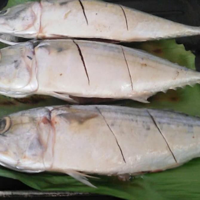 

IKAN KEMBUNG BANJAR SEGAR MURAH DAPOER_MATEEP