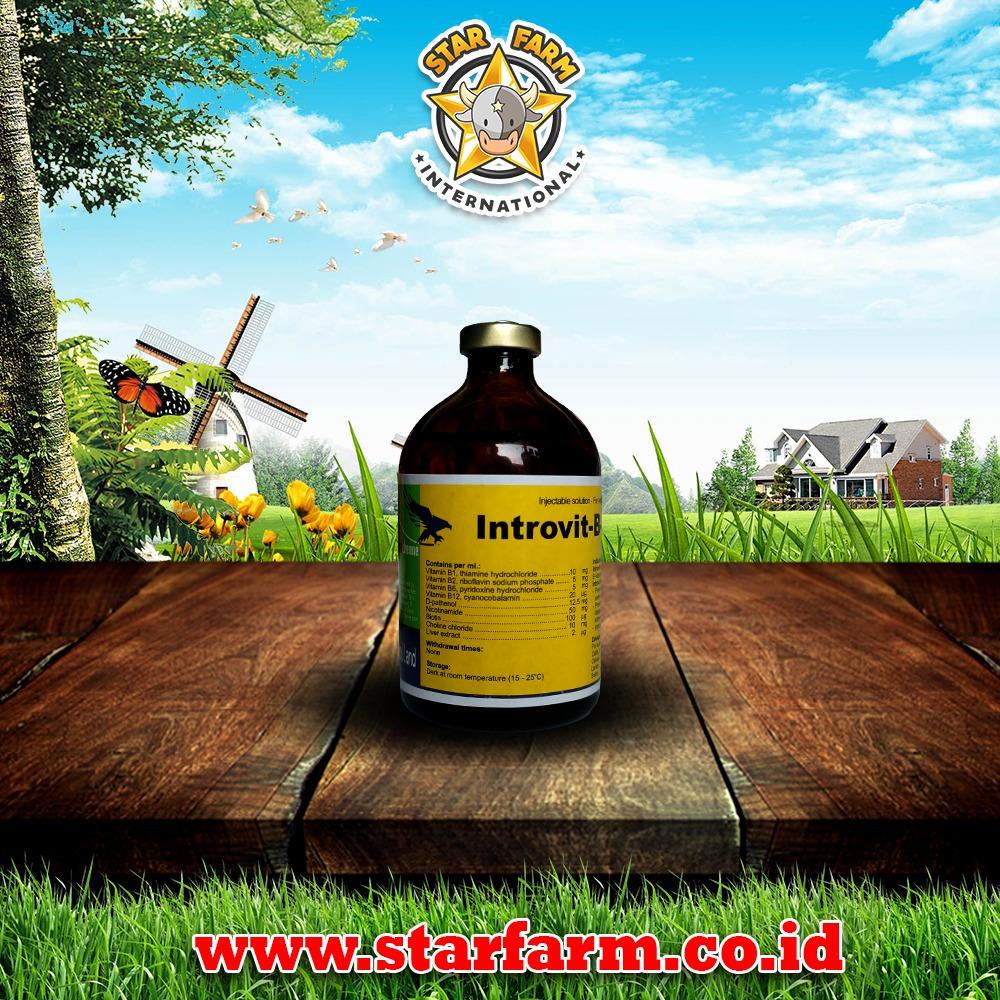 TERLARIS Introvit B Complex - Star Farm