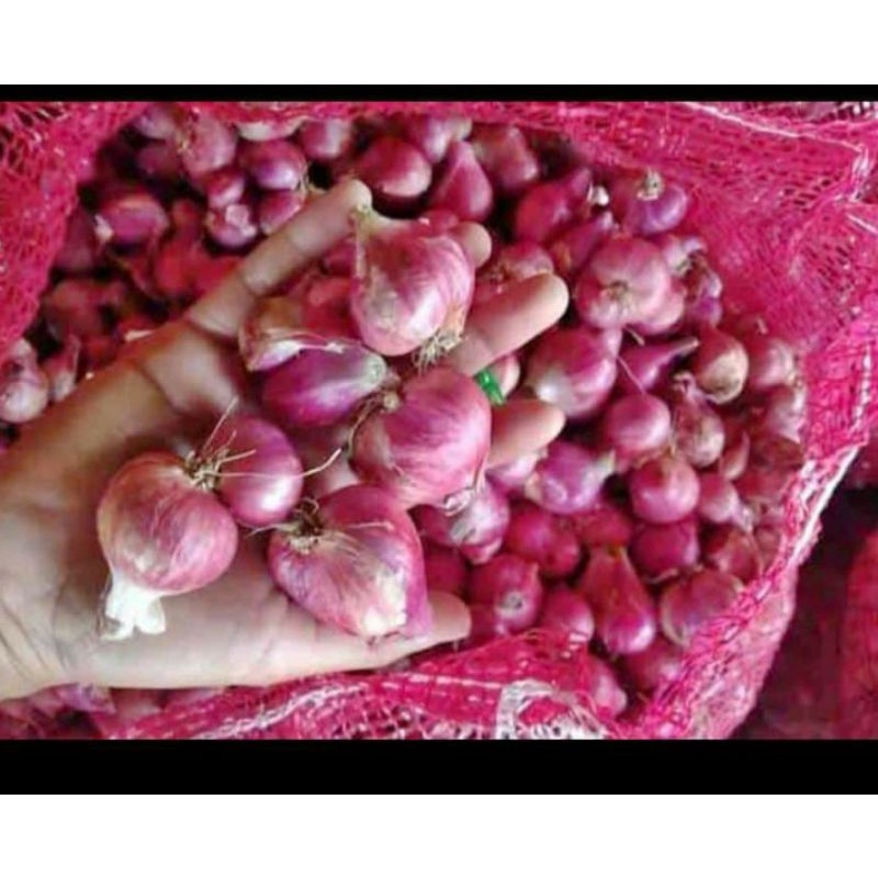 

bawang merah asli nganjuk