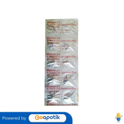 MOLOCO B12 STRIP 10 TABLET