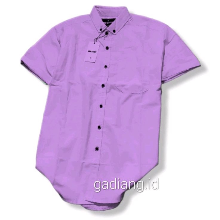 Kemeja Pria Basic Polos Pendek Lilac Katun Premium Quality | Atasan Cowo Warna Ungu