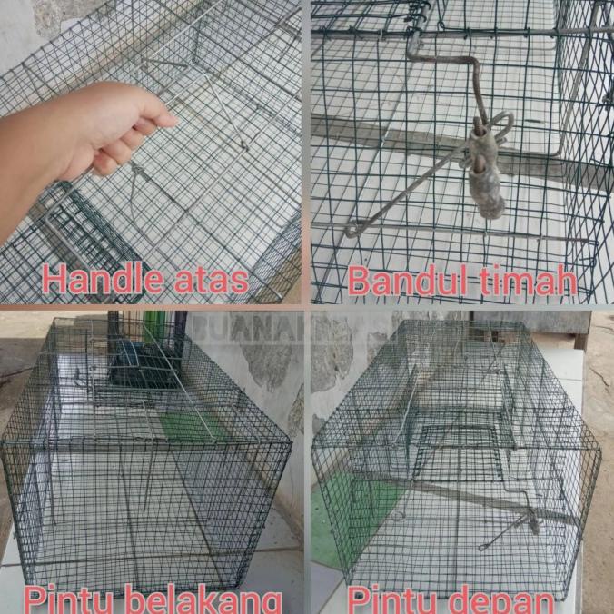 Silahkan Order] Jebakan Perangkap Musang