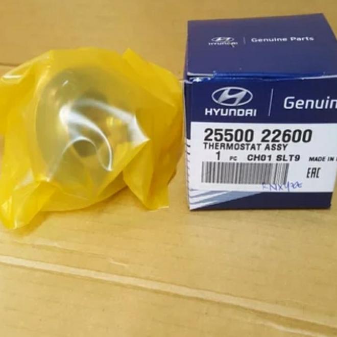 Thermostat Hyundai Verna Avega Getz Genuine Part