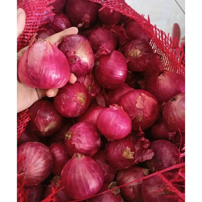 

❋Ready❁ QRYPJ BAWANG MERAH PEKING SEGAR ALAMI - 1KG N35 ➩Buruan Beli