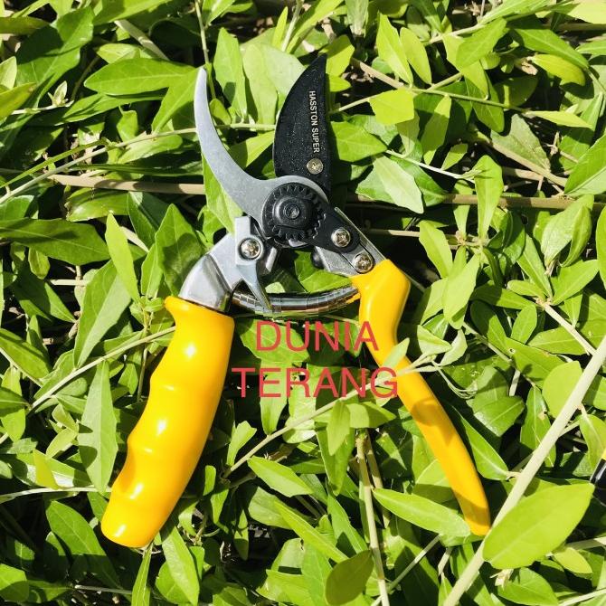 Gunting Dahan HASSTON PROHEX 1350 - Gt Ranting HASTON Super 1350