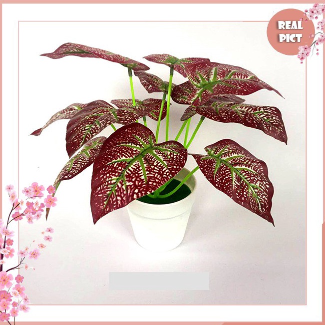 ★★★ INw UNICO Pot Bunga Hias Plastik Tanaman Artificial Daun Rambat Kering Murah Dekorasi Daun Talas