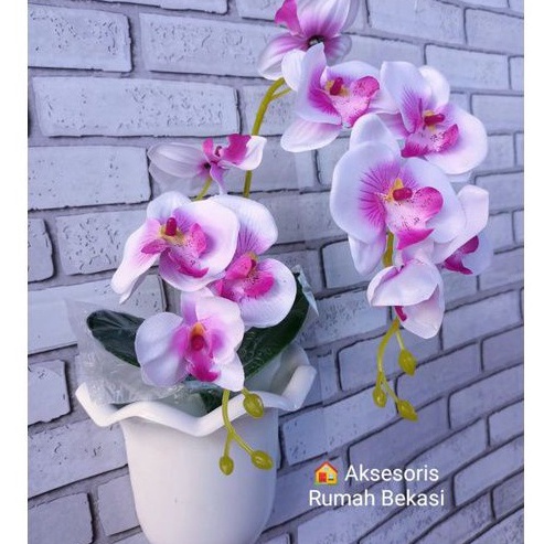 ➧➣✩✸ SET BUNGA PLASTIK ANGGREK 2 CABANG BESAR DENGAN POT DINDING OMBAK Ready