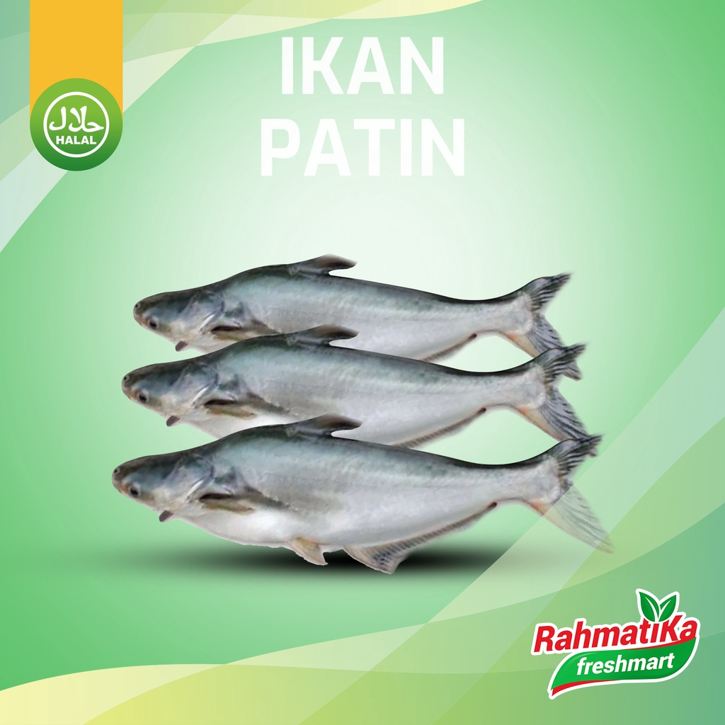 Ikan Patin Segar / Ikan Patin Fresh 500 gram