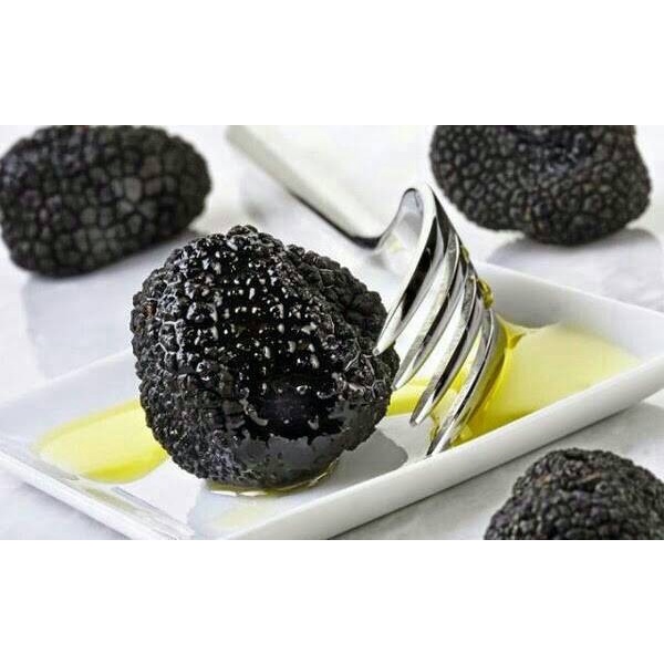 

Costa d'Oro Truffle Extra Virgin Olive Oil Minyak Zaitun Tartufo Jamur