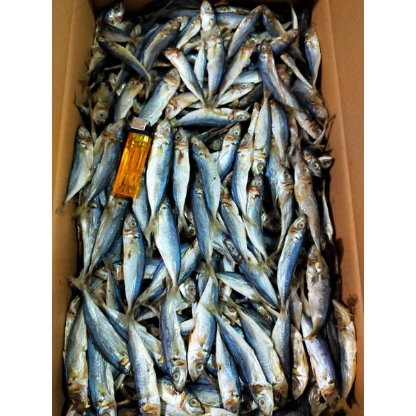 

ikan klotok manis