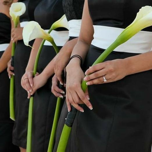 Promo A Lily Putih/ White A Lily/ Bunga Potong Segar