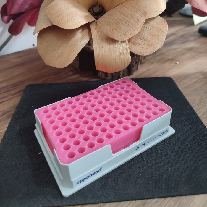 Best Seller Eppendorf Pcr Cooler Pink 0.2 Ml Eppendorf 3881000023