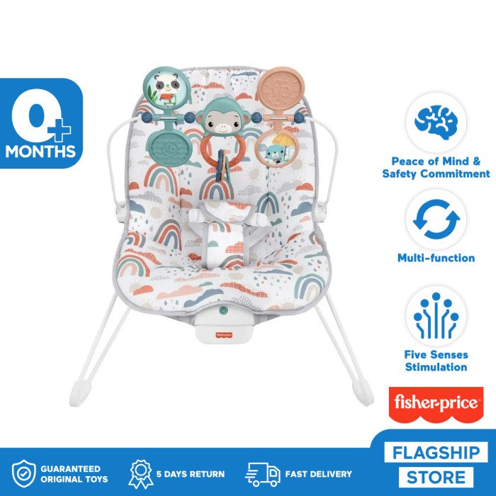 Fisher Price Baby's Bouncer (Rainbow) - Kursi Goyang Anak Bayi
