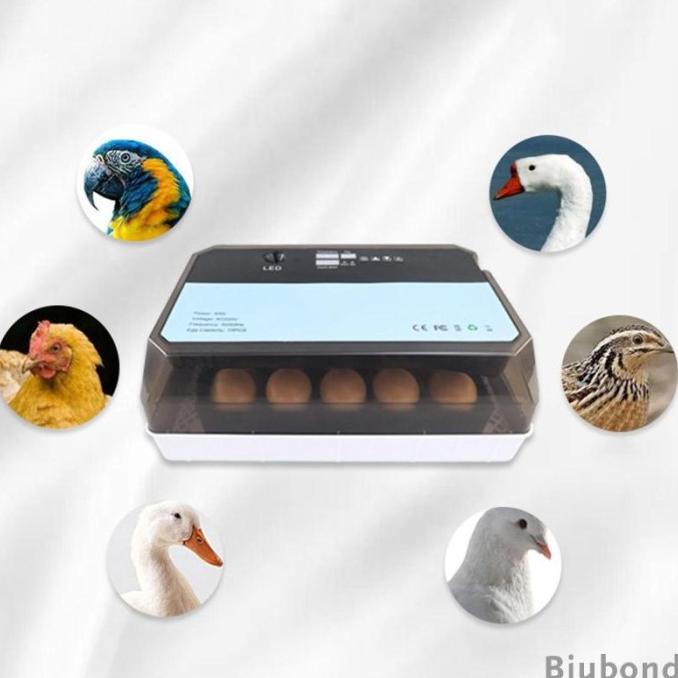 Mesin Inkubator Penetas 15 Telur Puyuh Bebek Merpati Dengan Kontrol