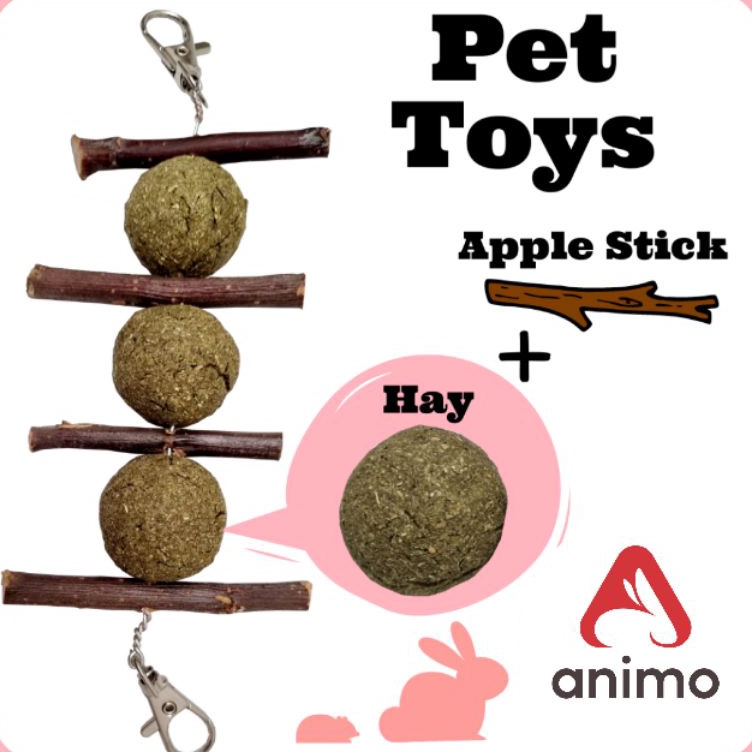 LPPQ6436 Terlaku.../ Mainan Gigitan Kelinci Hamster Marmut Gantung - Banana Hay Ball & Apple Stick R