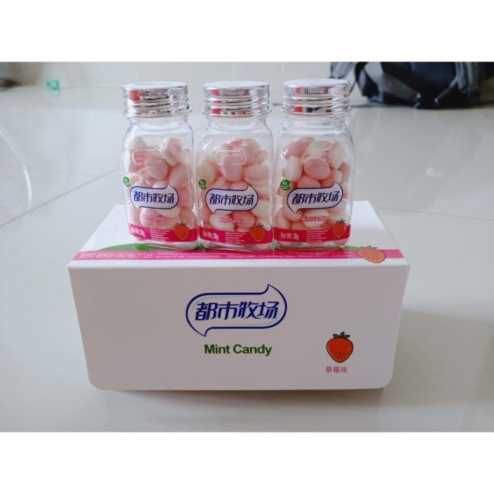 

Permen Xinle Strawberry 38Gr 8Pcs