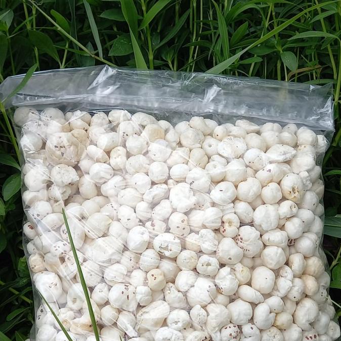 

monggo] TASATE OF INDIA PHOOL MAKHANA 100 GRAM