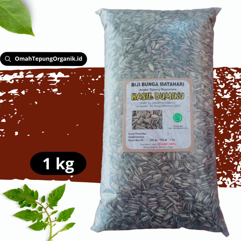 Biji Bunga Matahari kemasan 1 KG/Benih Bunga Matahari kemasan 1 KG/Bibit Bunga Matahari kemasan 1 KG