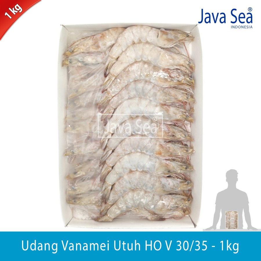 

Udang Vanamei Utuh Ada Kepala HO V 20/25 pack 1kg Java Sea