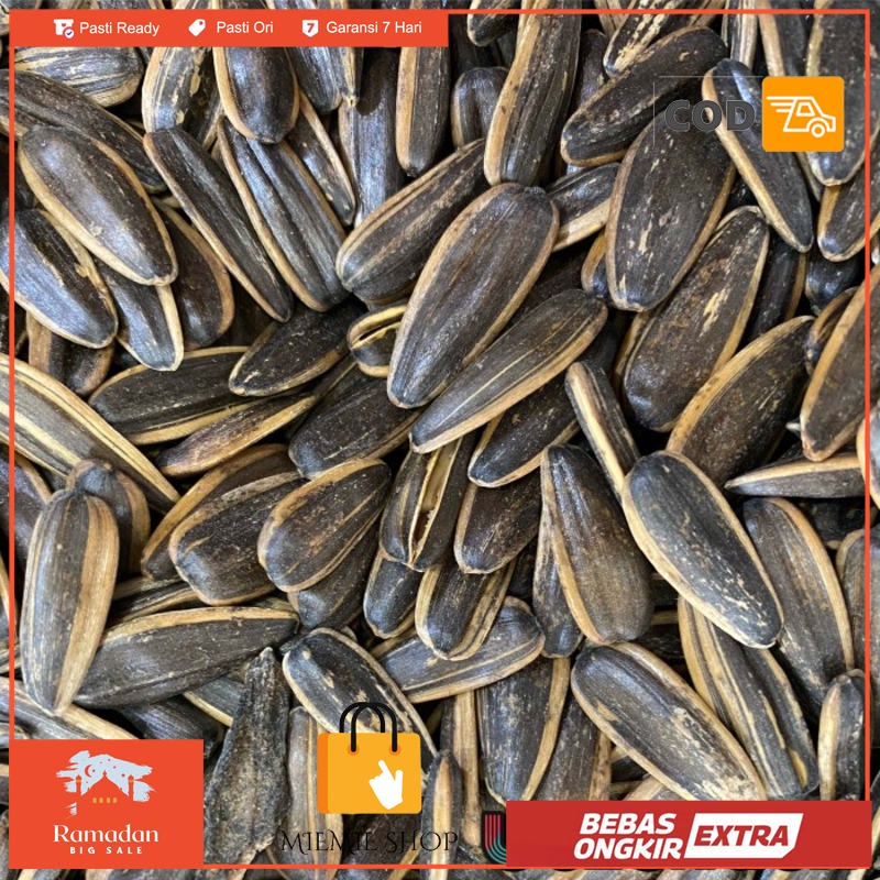 

Kuaci Matahari 1kg 1.000grm